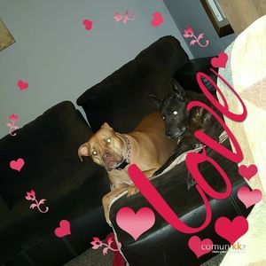 Meet your Posher, Christina